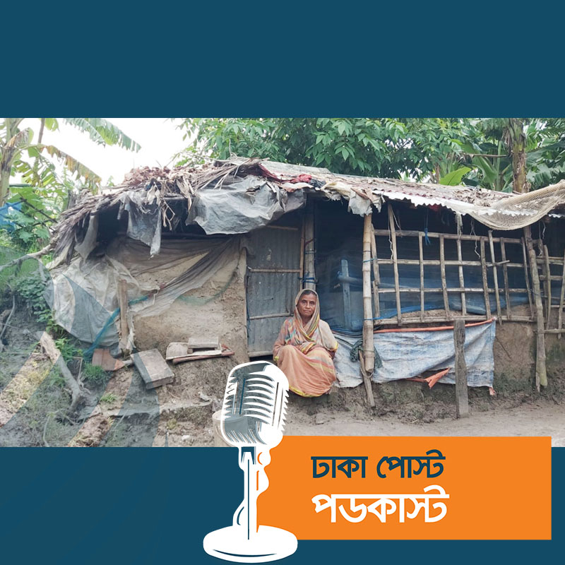 ইলিশ তো বড়লোকদের খাবার, শেষ কবে খেয়েছি মনে করতে পারি না