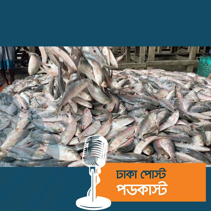 এক নৌকায় মিলল ৫৯ মণ ইলিশ, ১৩ লাখে বিক্রি