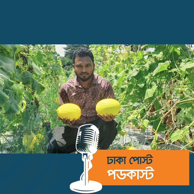 চাকরি ছেড়ে কৃষিকাজ, তরুণ উদ্যোক্তা ফয়সালের বছরে আয় ১৩ লাখ