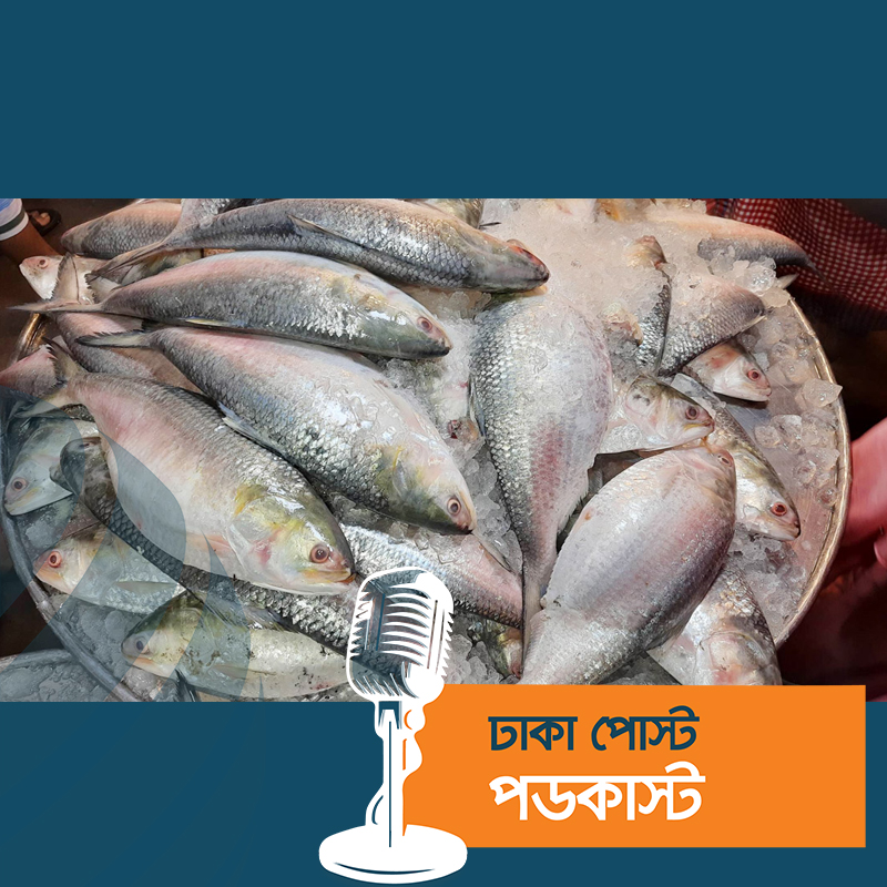 বন্ধ হচ্ছে ইলিশ ধরা, বাজারে দাম ঊর্ধ্বমুখী
