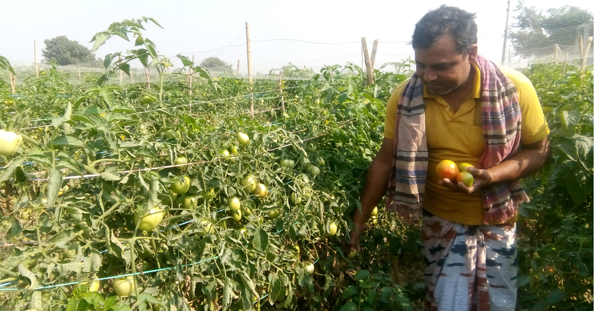 চাঁপাইনবাবগঞ্জ