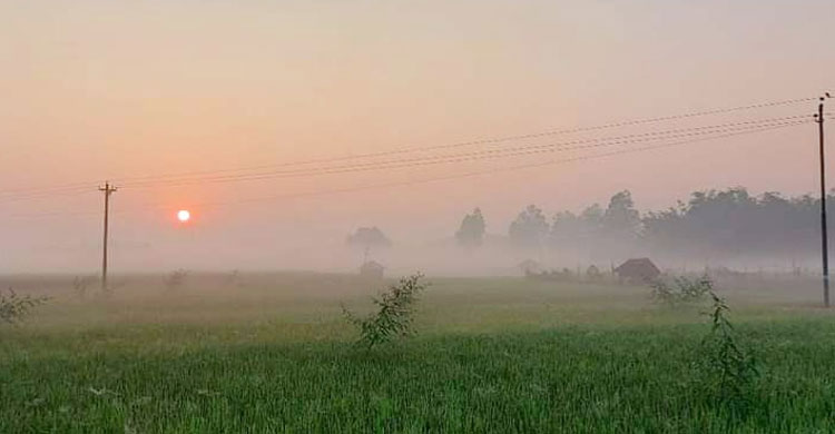 নীলফামারীতে সকালের কুয়াশাঢাকা সূর্য