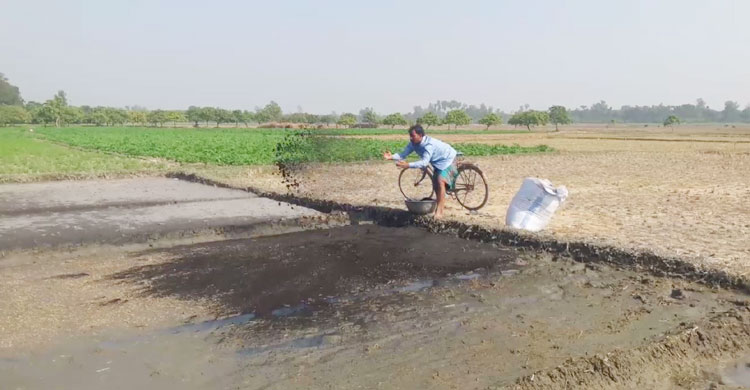 জমিতে জৈব সার দিচ্ছেন এক কৃষক