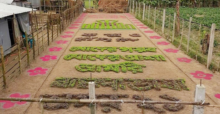 বিভিন্ন শাক দিয়ে এই শিল্পকর্ম আঁকেন কৃষক রুমান