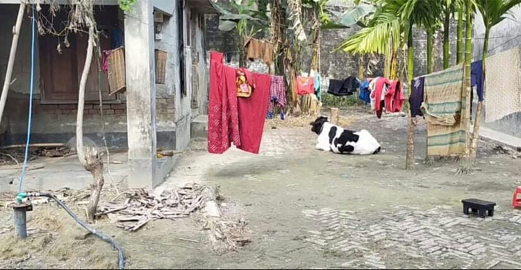 কারাগারে গরু-ছাগল