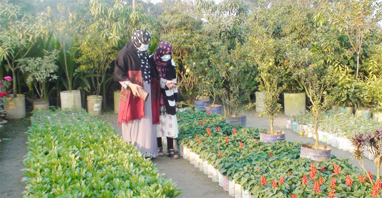 নার্সারিতে চারা কিনতে এসেছেন ক্রেতারা