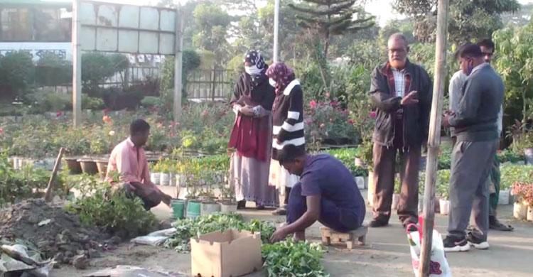 চারা &zwj;কিনছেন ক্রেতারা