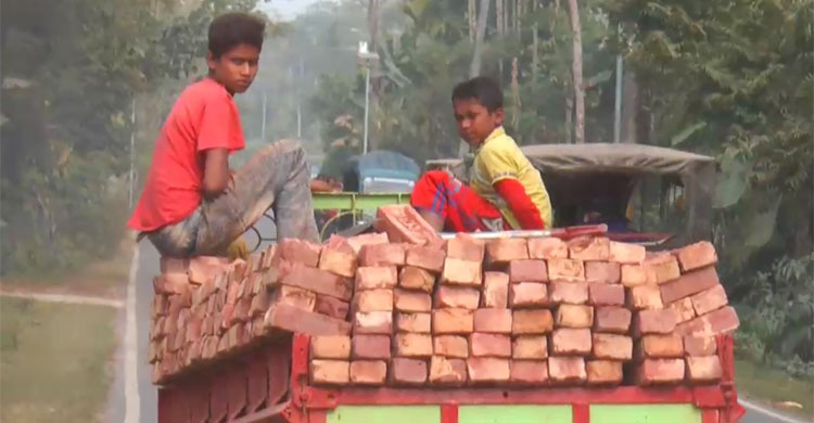 ঝুঁকিপূর্ণ ট্রলিতে করে ইট নিয়ে যাচ্ছে শিশুরা