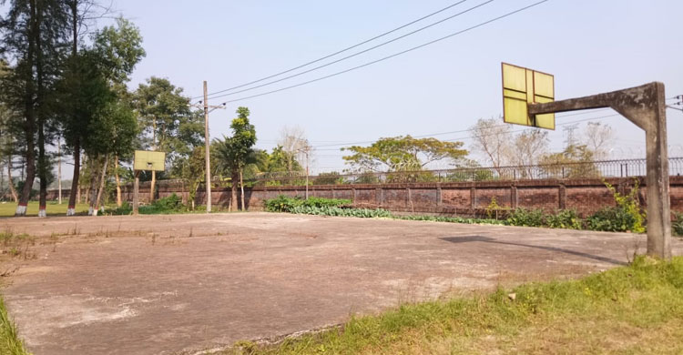 পরিত্যক্ত বাস্কেটবল মাঠের পাশে চাষ হচ্ছে ফুলকপির