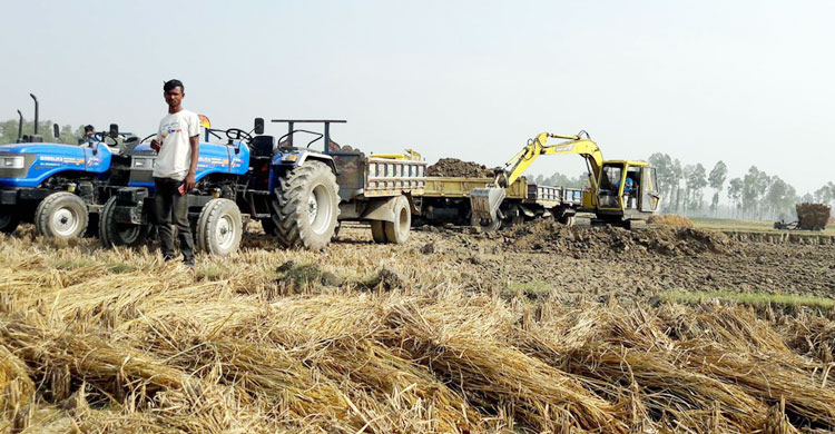 গভীরভাবে মাটি কেটে ইটভাটায় নিয়ে যাচ্ছে