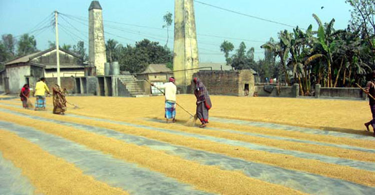 চাতাল কল