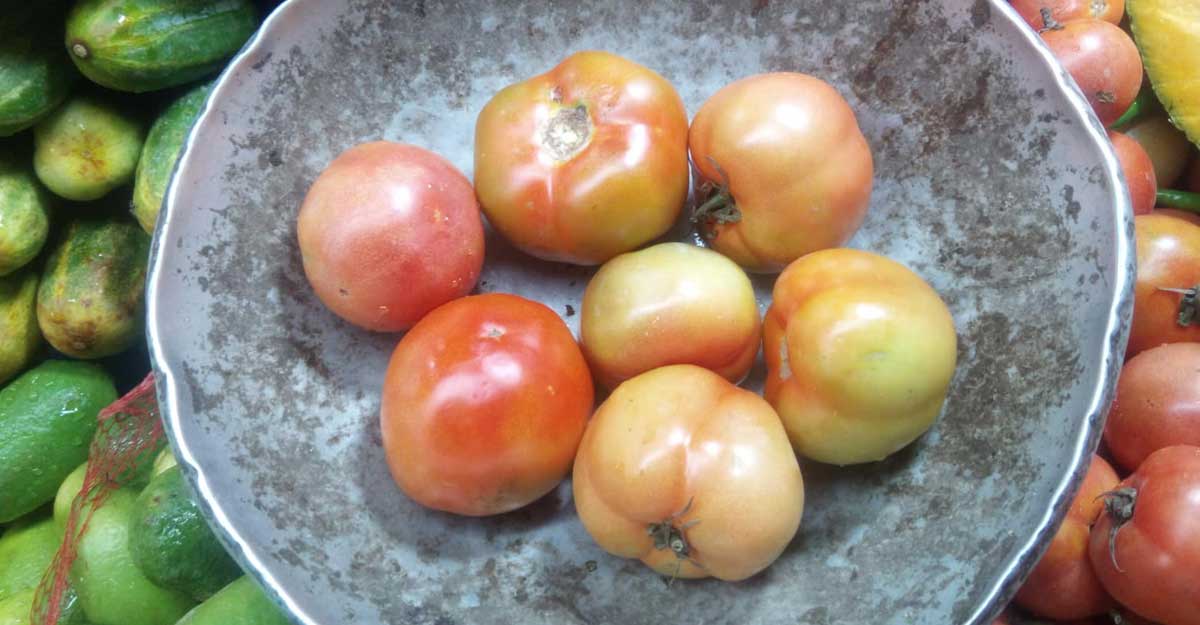 ১০ টাকায় একটি টমেটো কিনছে ঢাকার মানুষ