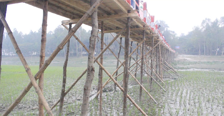 সেতুর নিচের অংশে বাঁশ ও কাঠ ব্যবহার করা হয়েছে