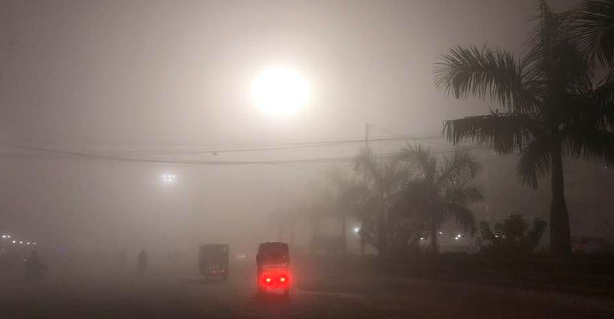 কুয়াশার চাদরে ঢাকা রাজশাহী