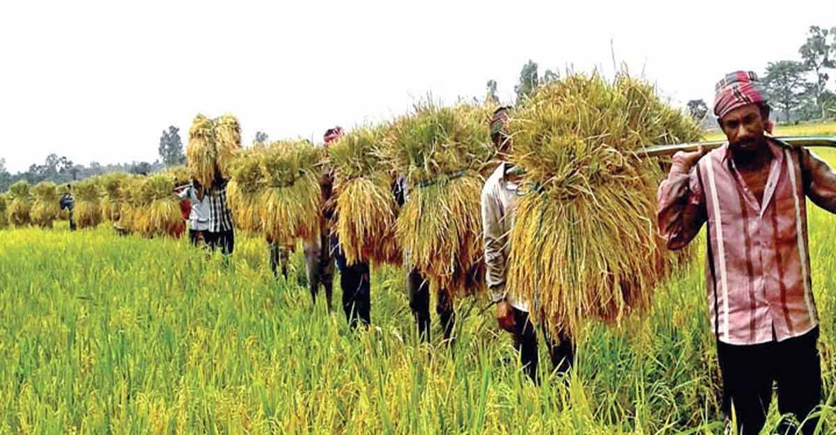 কৃষকদের ২৮ হাজার ৩৯১ কোটি টাকা ঋণ দেবে ব্যাংক