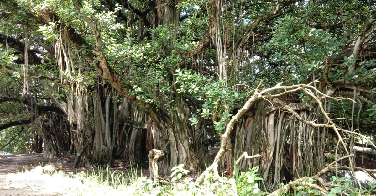 জৌলুস হারিয়েও টিকে আছে ৪০০ বছরের ঐতিহ্য