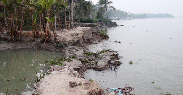 নদীভাঙনকবলিত আরজ আলীর এলাকা