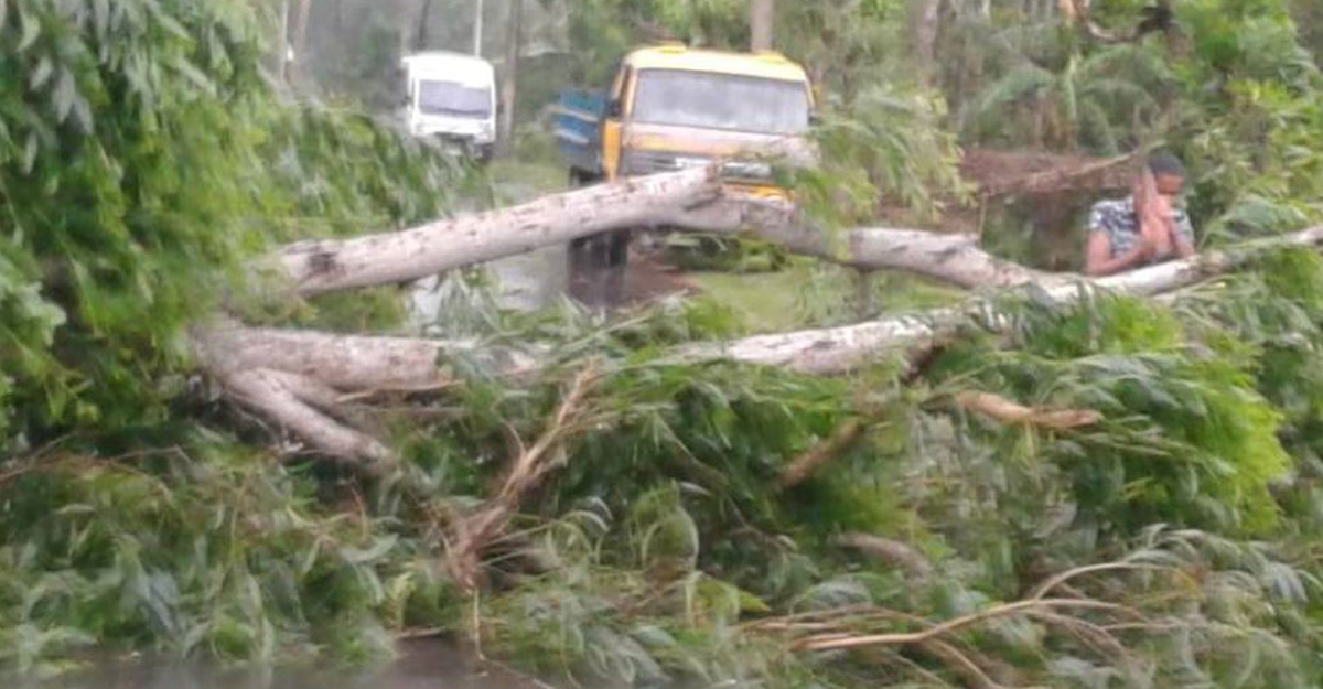 ঝড়ে গাছের ডাল পড়ে মা-মেয়ের মৃত্যু