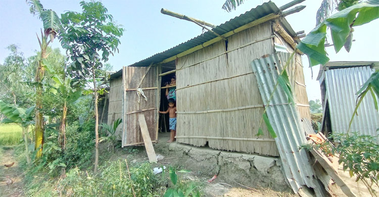 ঝুপড়ি ঘরে থাকতে হয় আমেনার পরিবারকে
