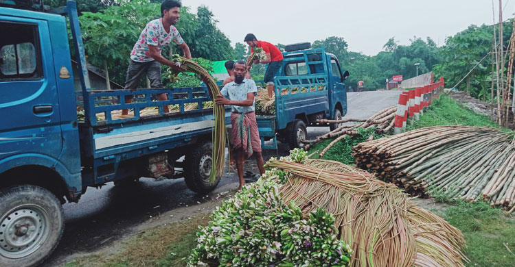 Dhaka Post