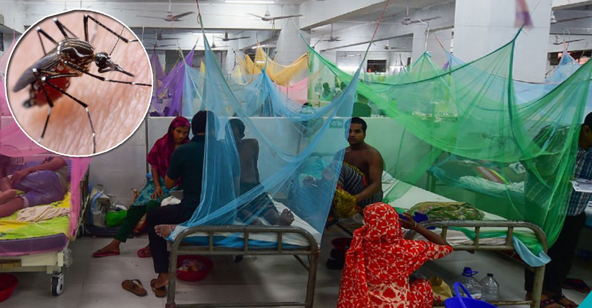 ডেঙ্গুতে আক্রান্ত হয়ে হাসপাতালে আরও ১৫২ জন