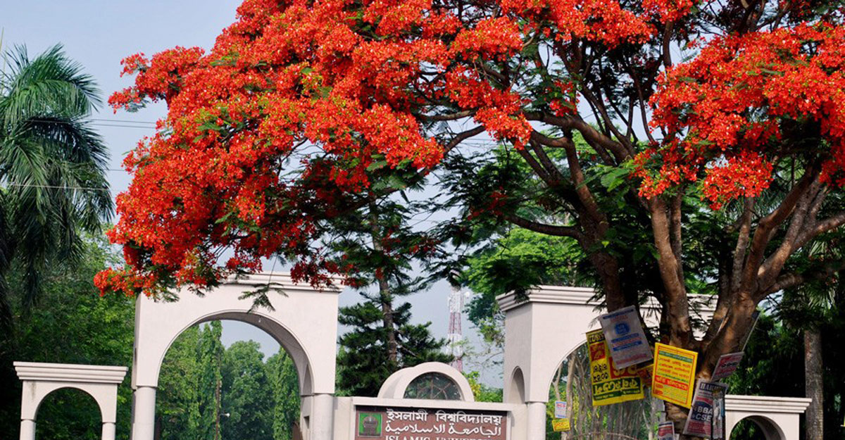 পুলিশ সদস্যের ইভটিজিংয়ের শিকার ইবি ছাত্রী