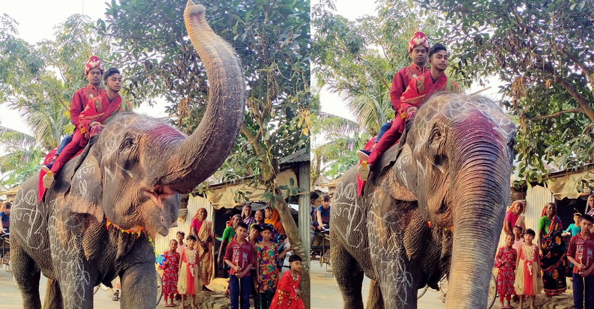 ২৫০০ বরযাত্রী নিয়ে বিয়ে করতে গেলেন প্রবাসী
