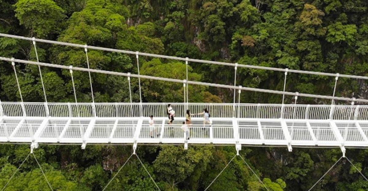 ভিয়েতনামে বিশ্বের ‘দীর্ঘতম’ কাঁচের সেতু চালু