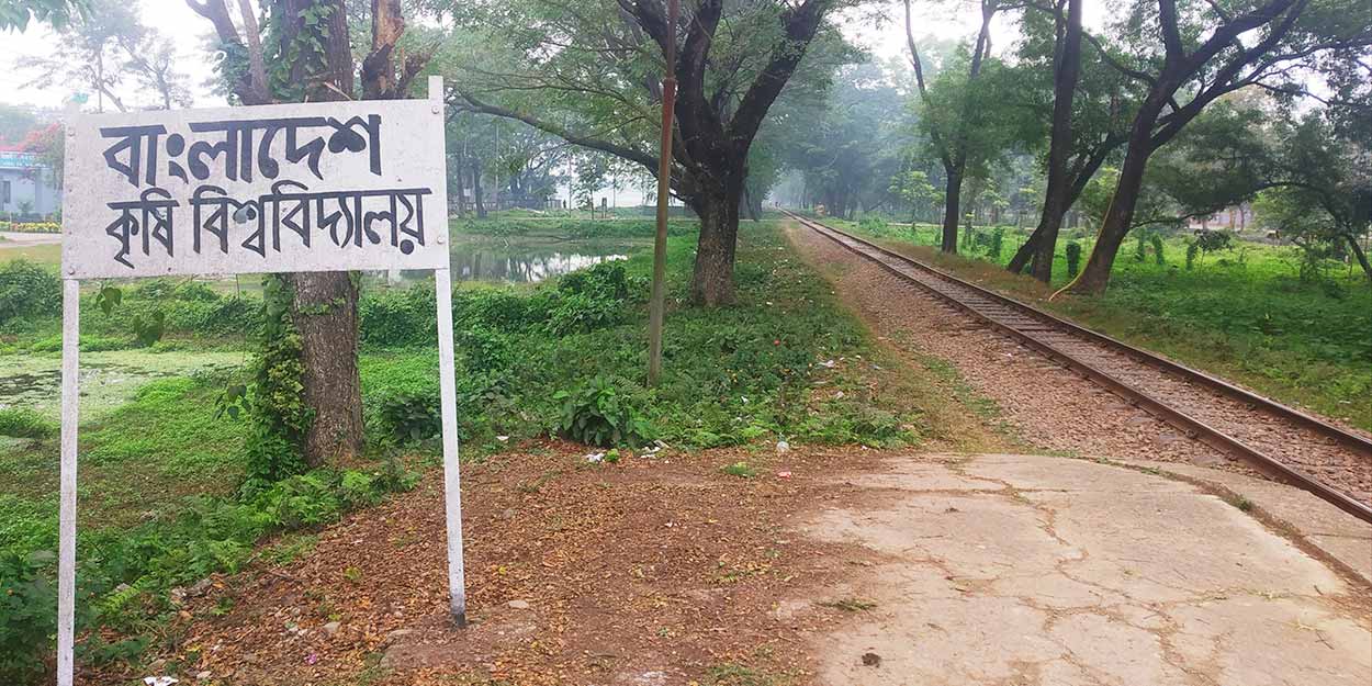 টিটিই নিহতের ঘটনায় বন্ধ হয়ে যাওয়া বাকৃবি রেলস্টেশন চালু হচ্ছে