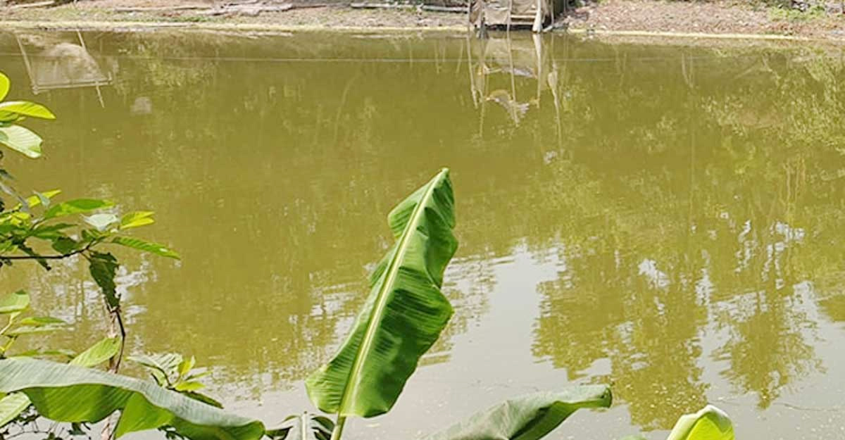 পাড়ে জুতা, পুকুরে পাওয়া গেল ২ ভাইয়ের মরদেহ