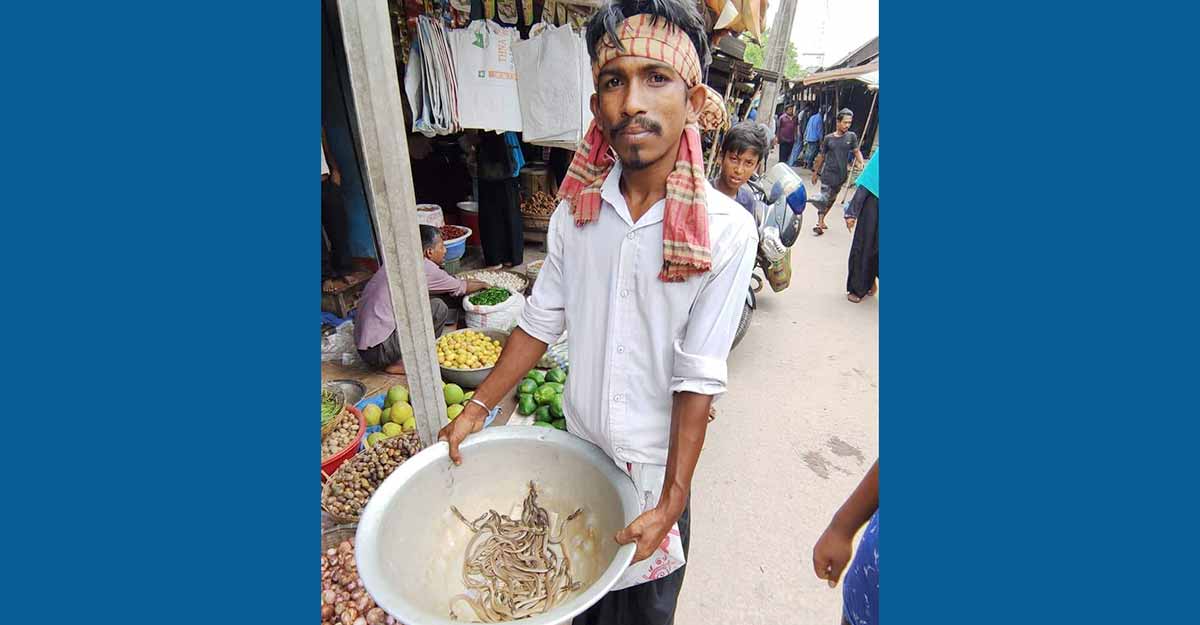 ৯৯৯ থেকে ফোন পেয়ে ফরিদপুরে অর্ধশতাধিক সাপের বাচ্চা উদ্ধার