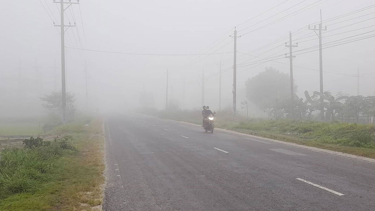 কুয়াশায় নিরাপদে গাড়ি চালাতে যেসব নির্দেশনা বিআরটিএর