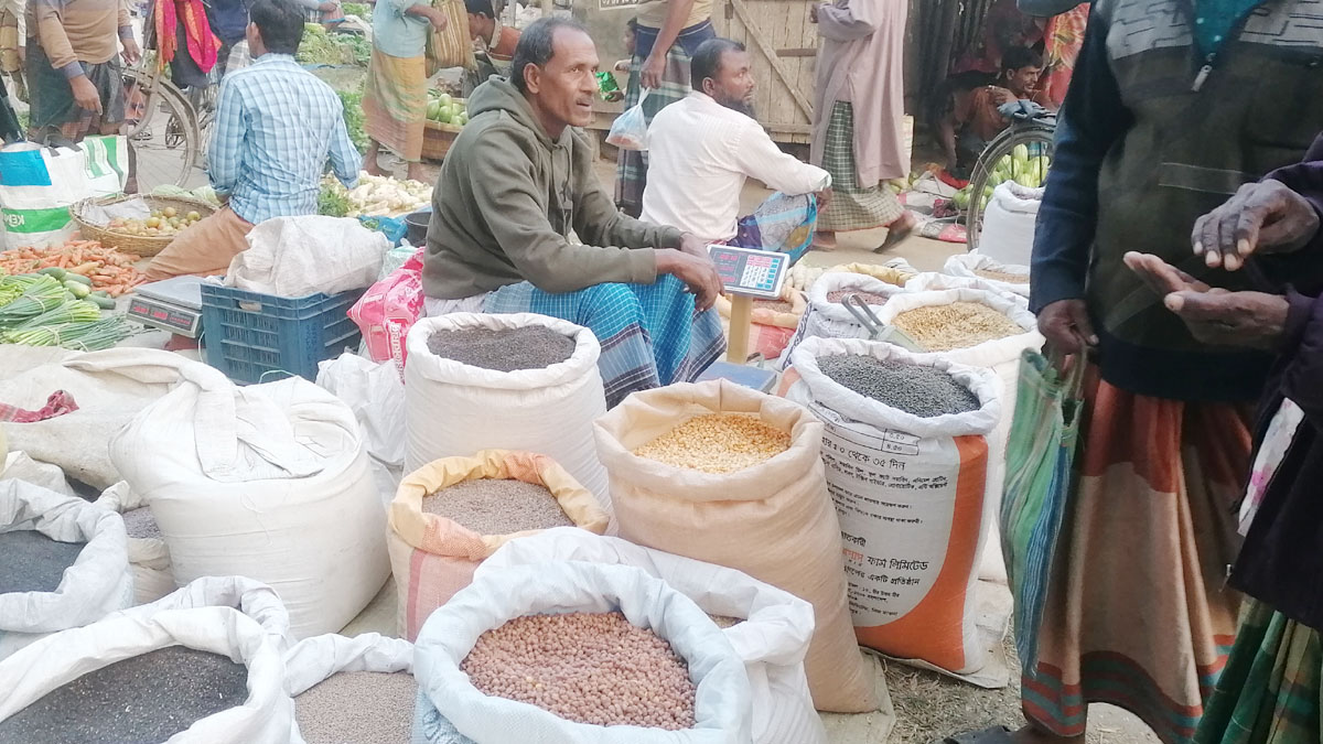 মেহেরপুরে গম বীজ সংকটে দিশেহারা কৃষক