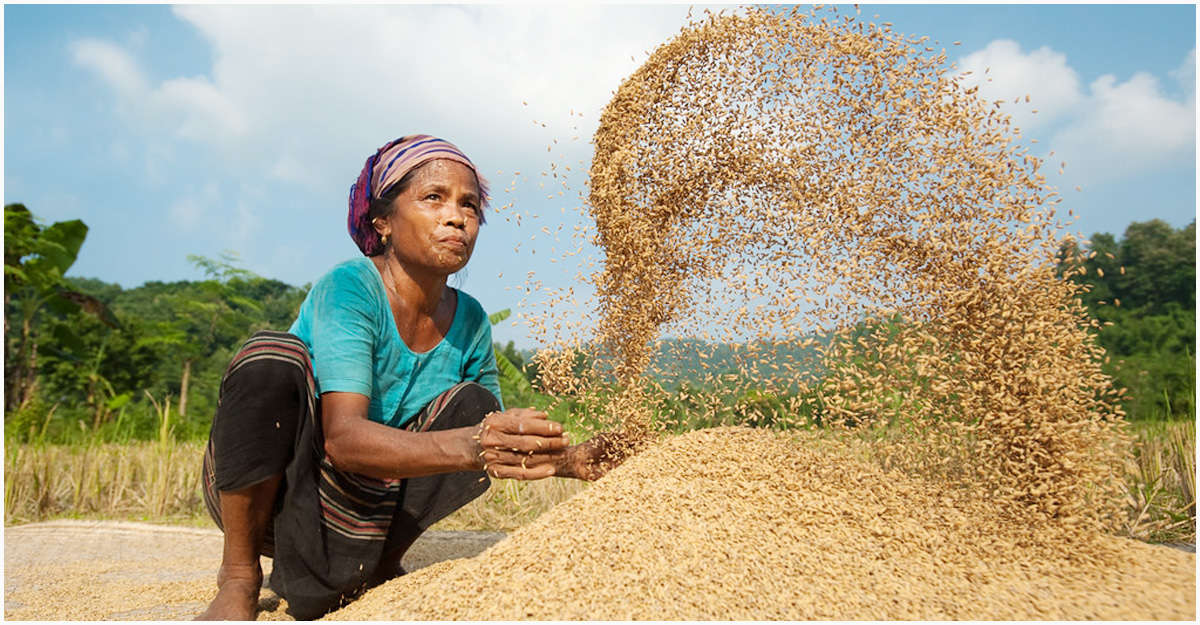 ইউক্রেন যুদ্ধে খাদ্য সংকটের মুখোমুখি বিশ্ব
