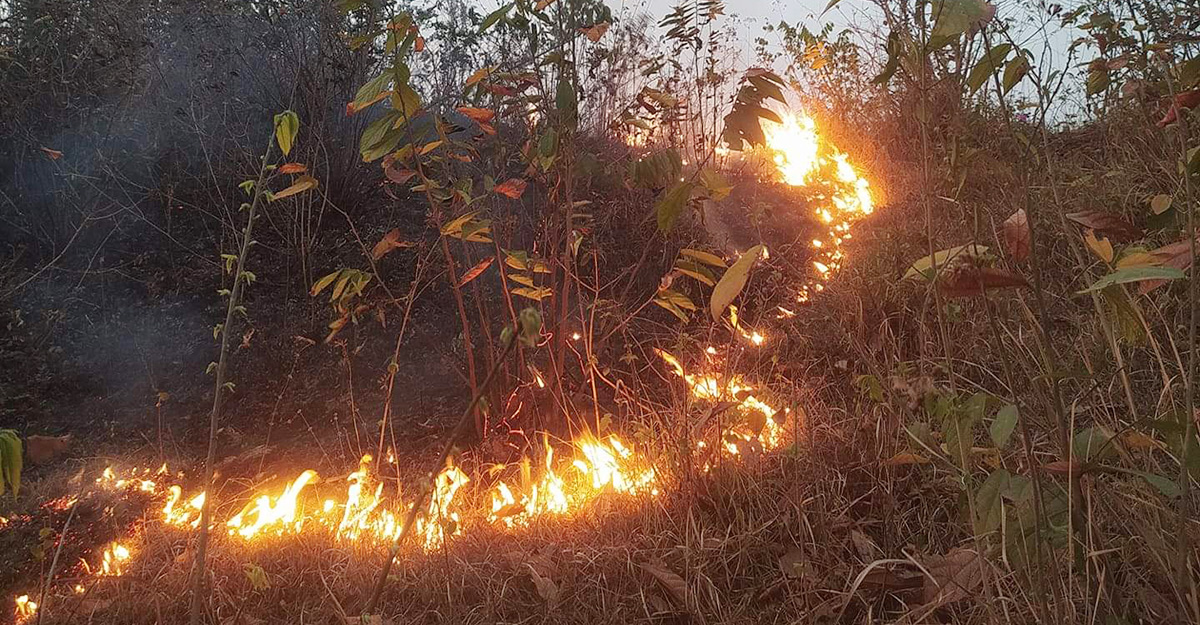 কুবির পাহাড়ে ফের আগুন