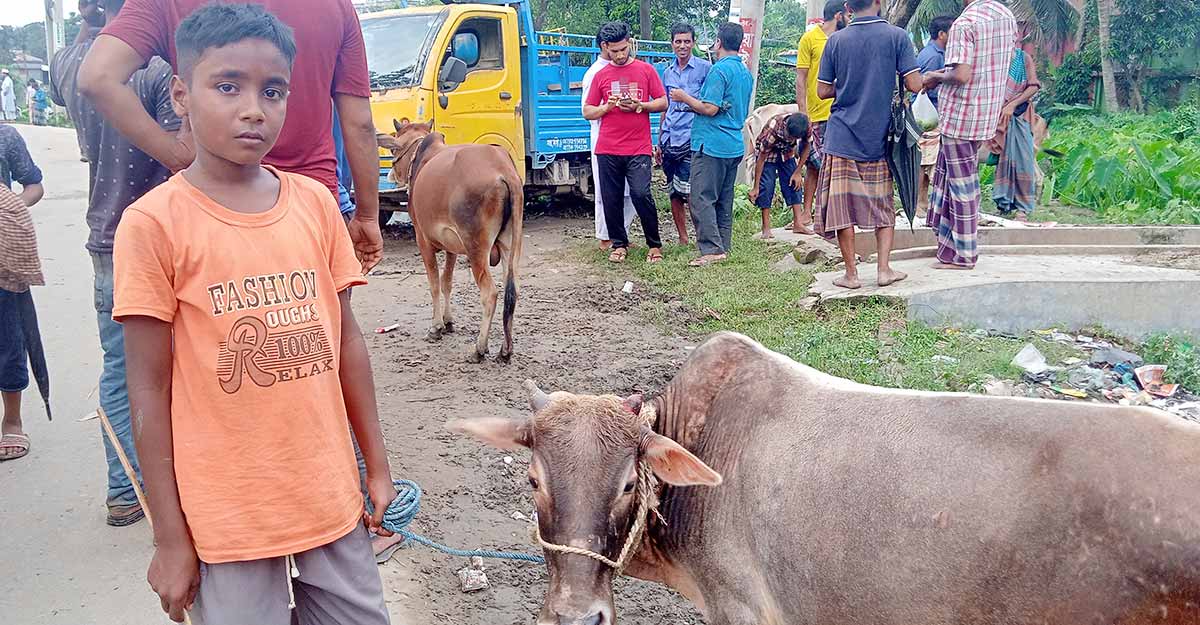 শিশু নাইমের গরুটি কি বিক্রি হলো