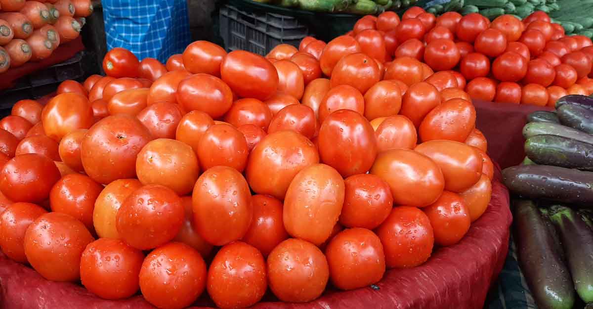 ৮০ টাকা কেজির টমেটো এখন ৩৫০ টাকা কেজি