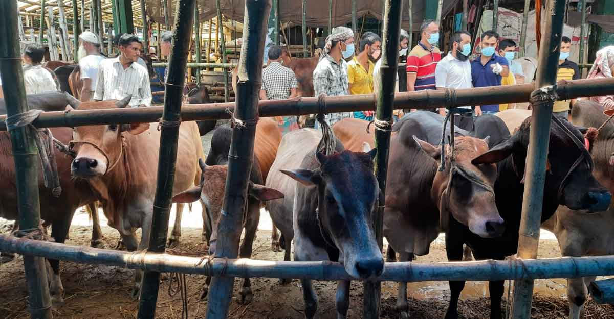 পশুর হাটে মাস্ক পরে ঢুকতে হবে