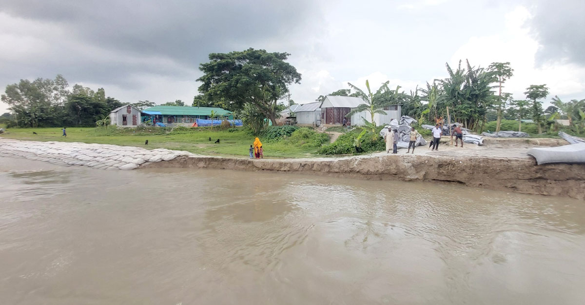 জিও ব্যাগ ফেলেও থামানো যাচ্ছে না পদ্মার ভাঙন