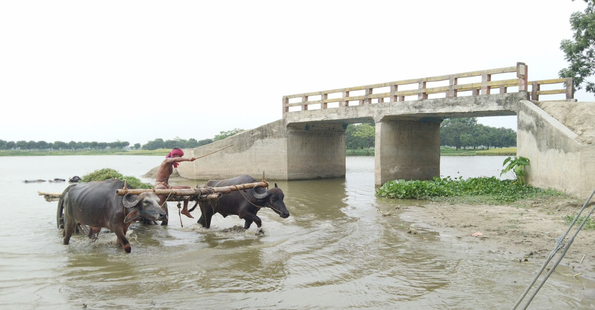 Dhaka post