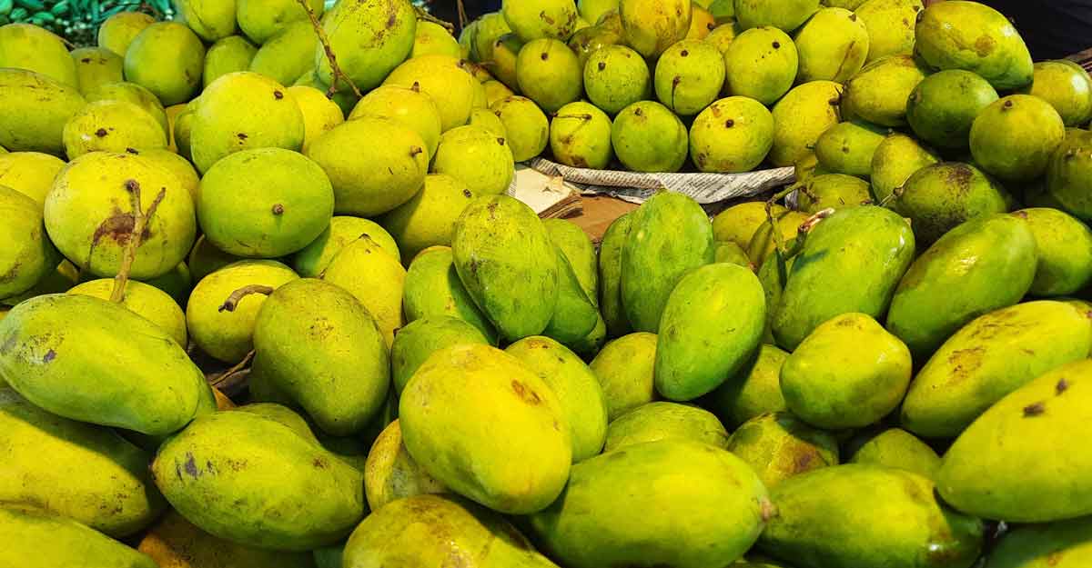 ফলের বাজারে ‘সৌরভ’ ছড়াচ্ছে আম