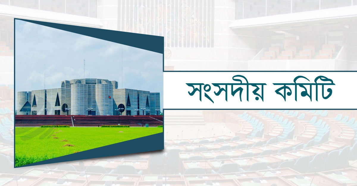 মামলাজট কমাতে মন্ত্রণালয়ের পরিকল্পনা জানতে চায় সংসদীয় কমিটি