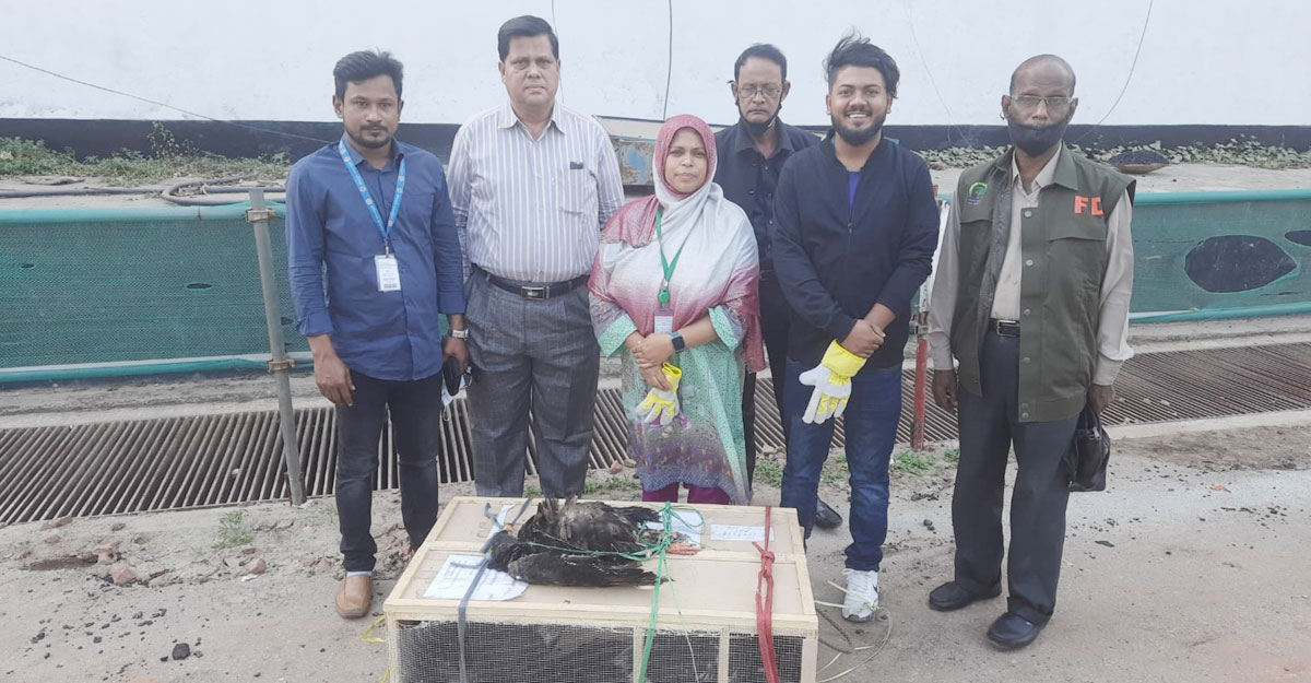 শাহজালাল বিমানবন্দরে ১০ বিদেশি ঈগল জব্দ, ২০ লাখ টাকা জরিমানা