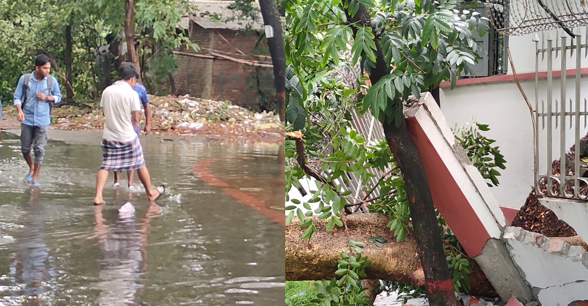 ঘূর্ণিঝড়ের প্রভাবে ঢাকা কলেজে ব্যাপক ক্ষয়ক্ষতি