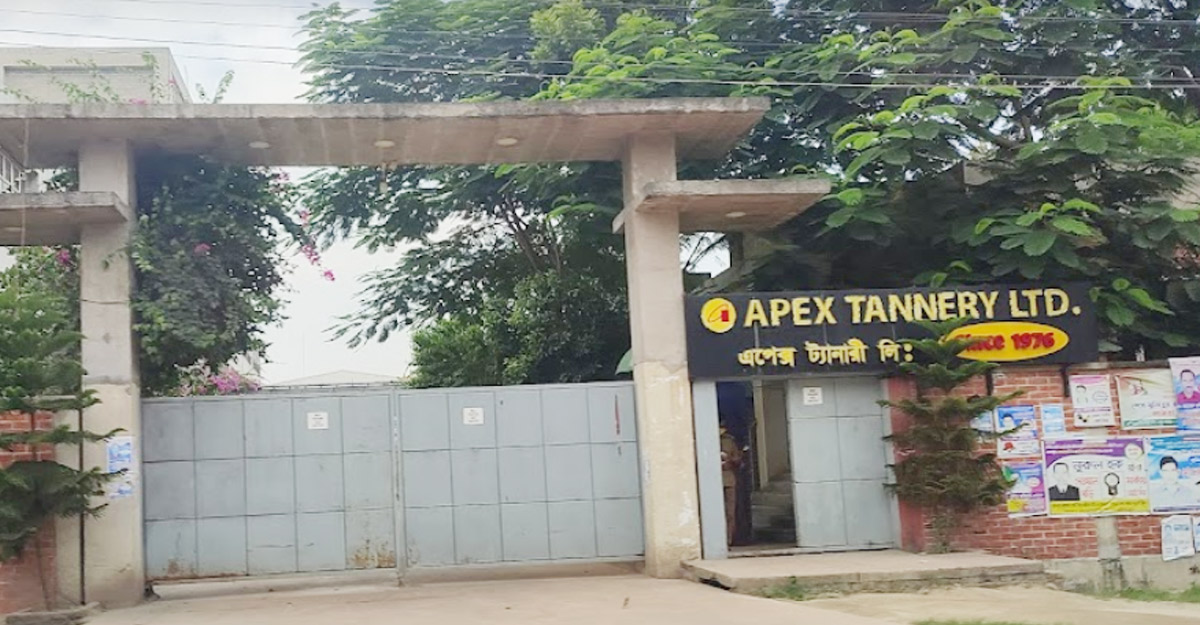 মুনাফা বেড়েছে আড়াই গুণ, ১০ শতাংশ লভ্যাংশ দেবে এপেক্স ট্যানারি