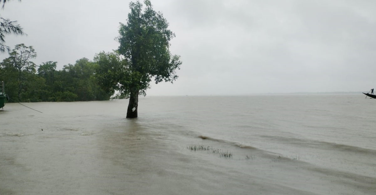 Dhaka post