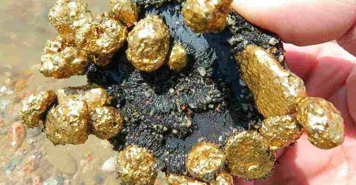 মদিনায় মিলল স্বর্ণ ও তামার বিশাল মজুত