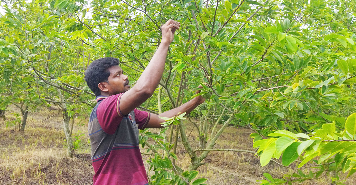 Dhaka post