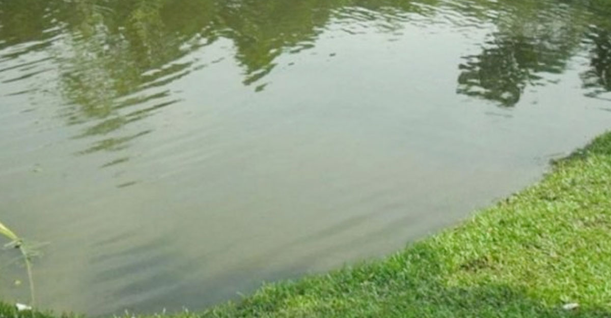 বাড়ির পাশের ডোবা থেকে ভাই-বোনের মরদেহ উদ্ধার