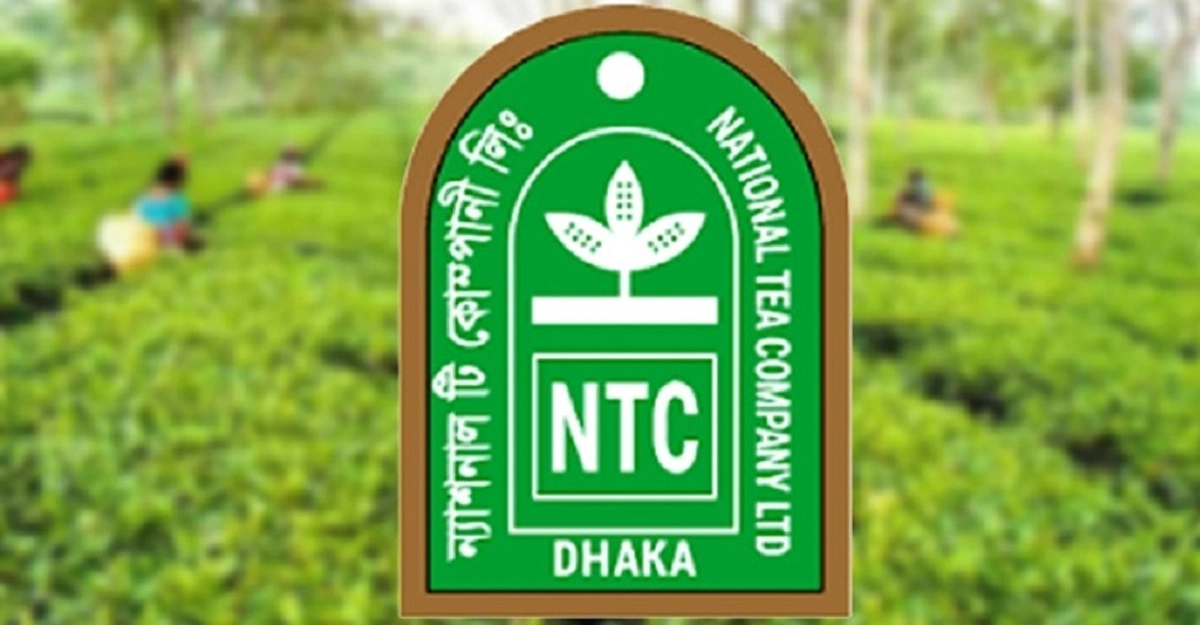 ৫ গুণ মূলধন বাড়াবে ন্যাশনাল টি